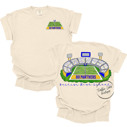 Royal and Gold Panthers Stadium Blue and Gold