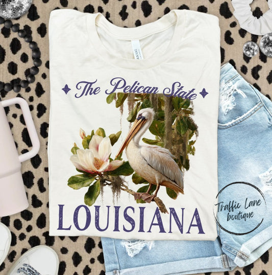 Louisiana Vintage State Shirt